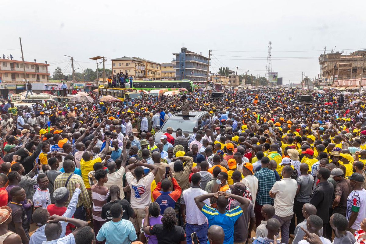 Dr Patrick Mariru, PhD tweet media