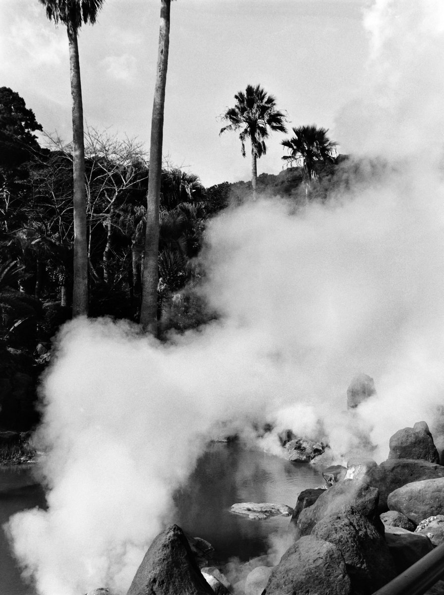 VØNPhoto tweet media