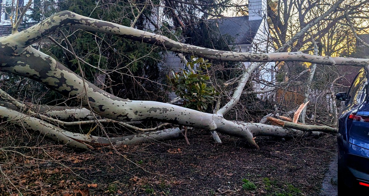 Dan Rodricks, At Large tweet media