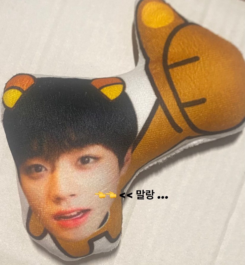 푸둥이 tweet media