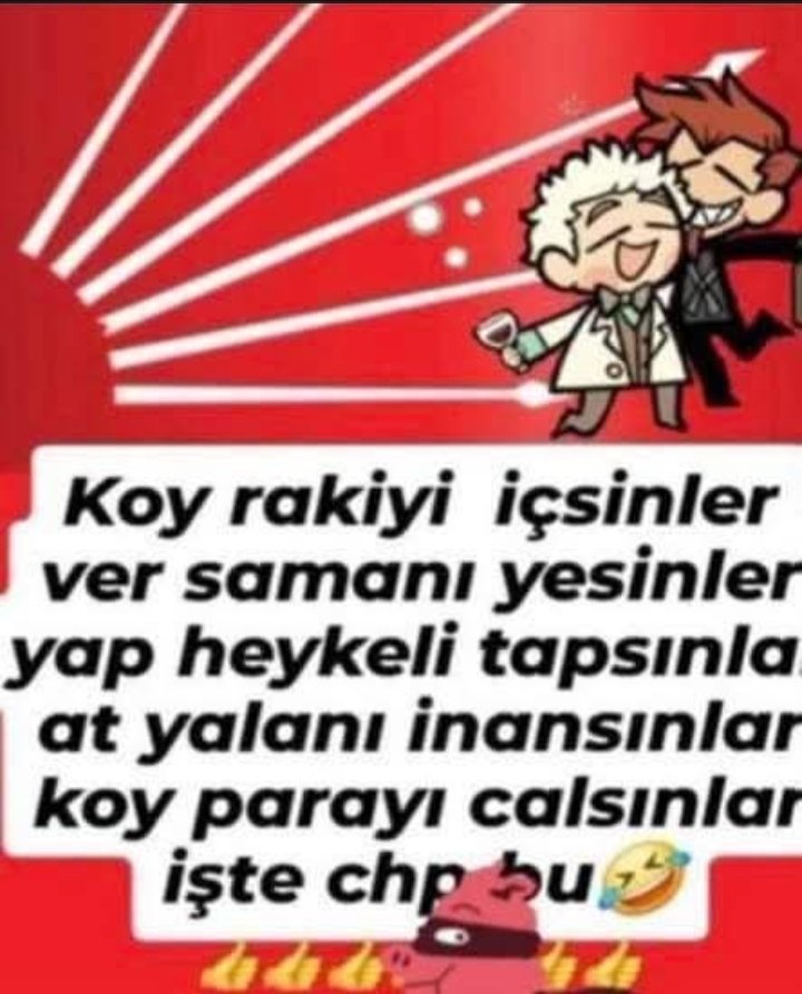 birsen baran tweet media