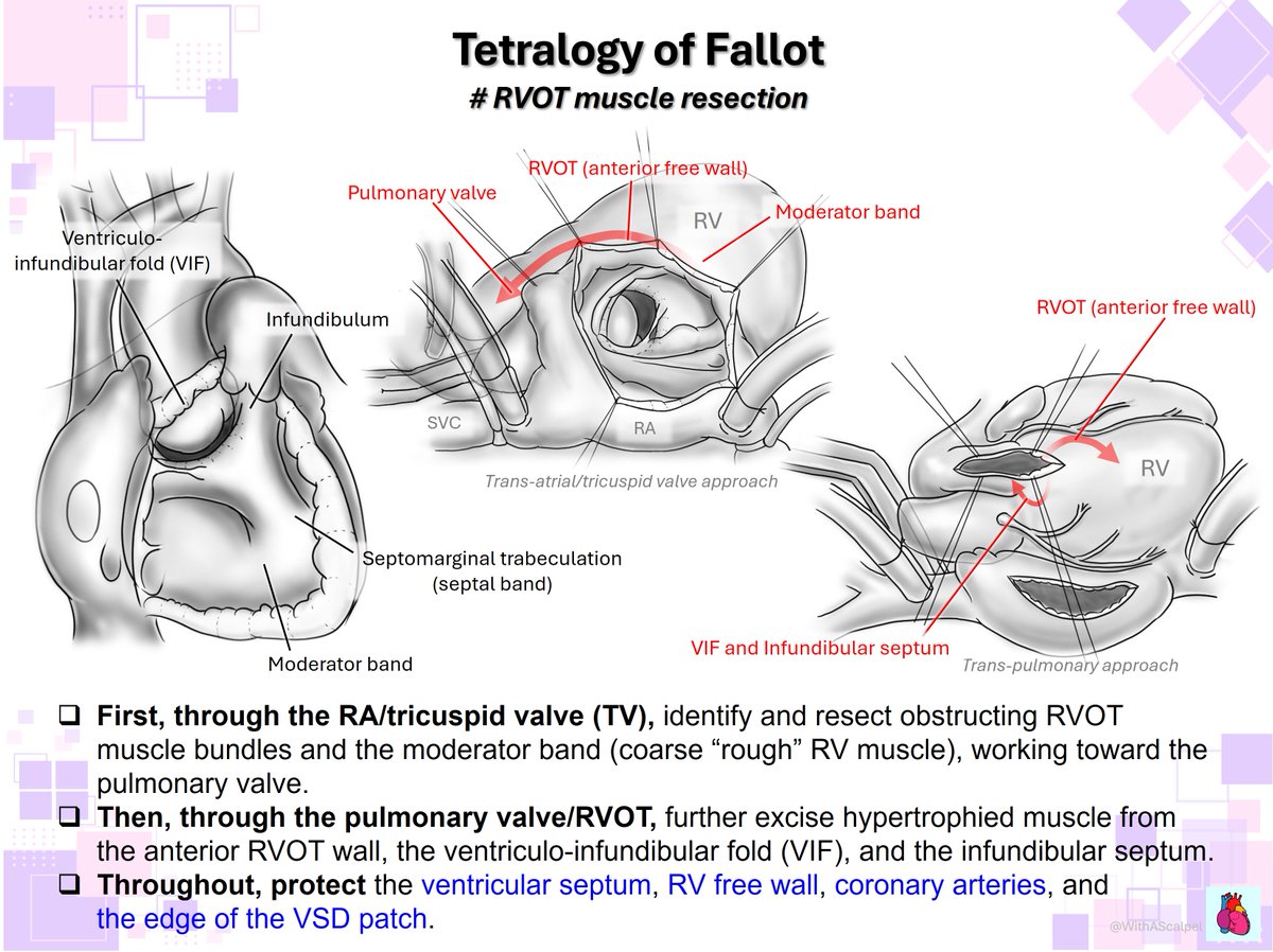 WithAScalpel tweet media
