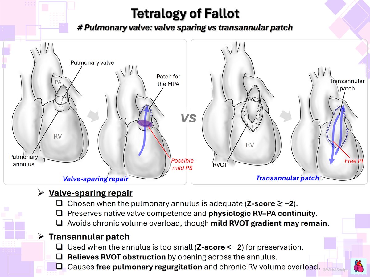 WithAScalpel tweet media