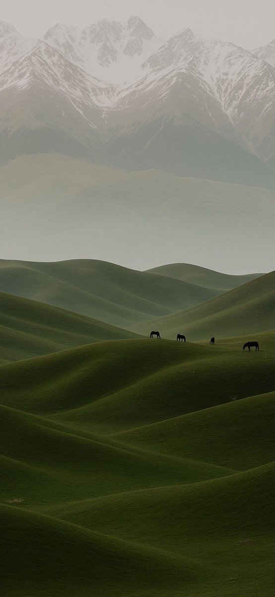 EXPLORING EARTH 🌍 tweet media