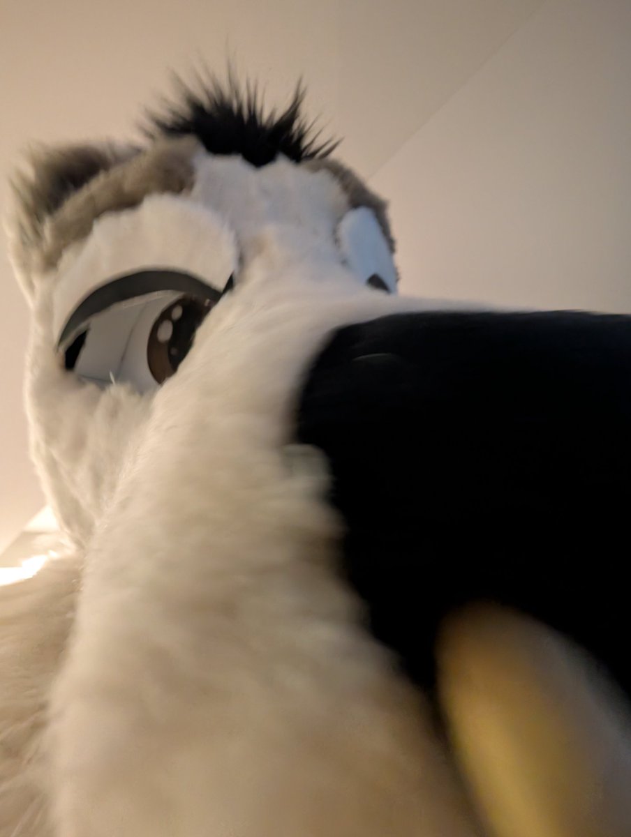 Isaac burr tweet media