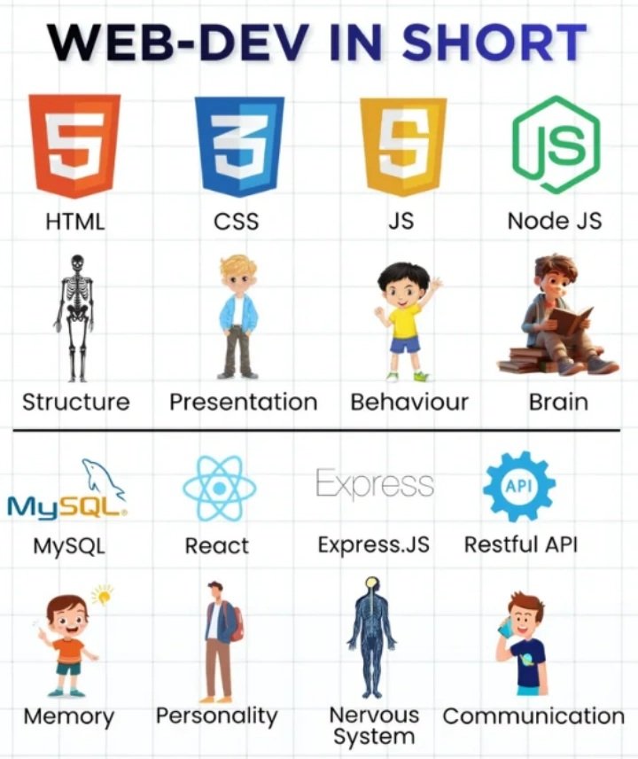 Full Stack Developer tweet media