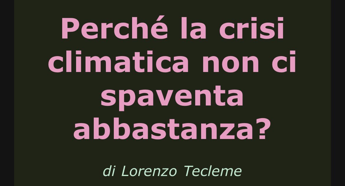 Lorenzo Tecleme tweet media
