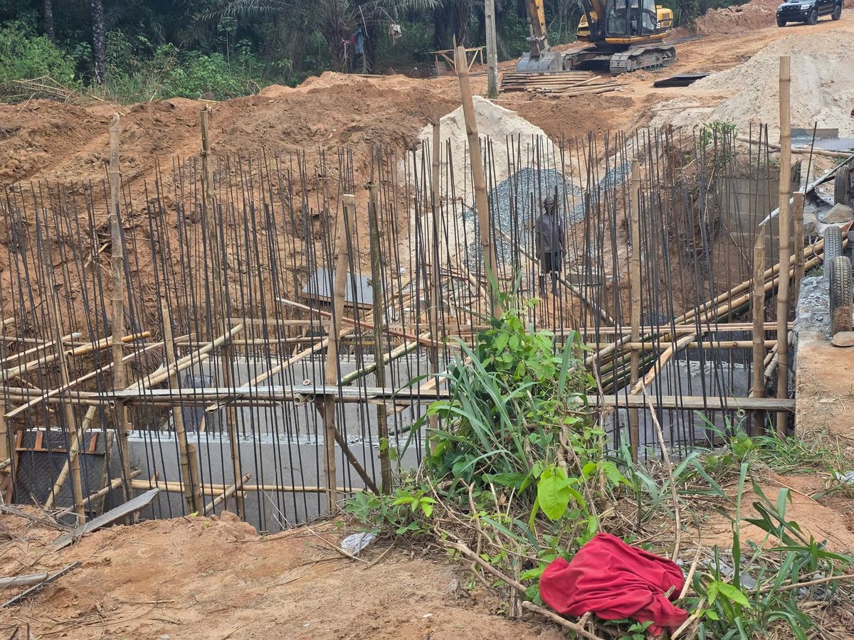 Mpaa collins tweet media