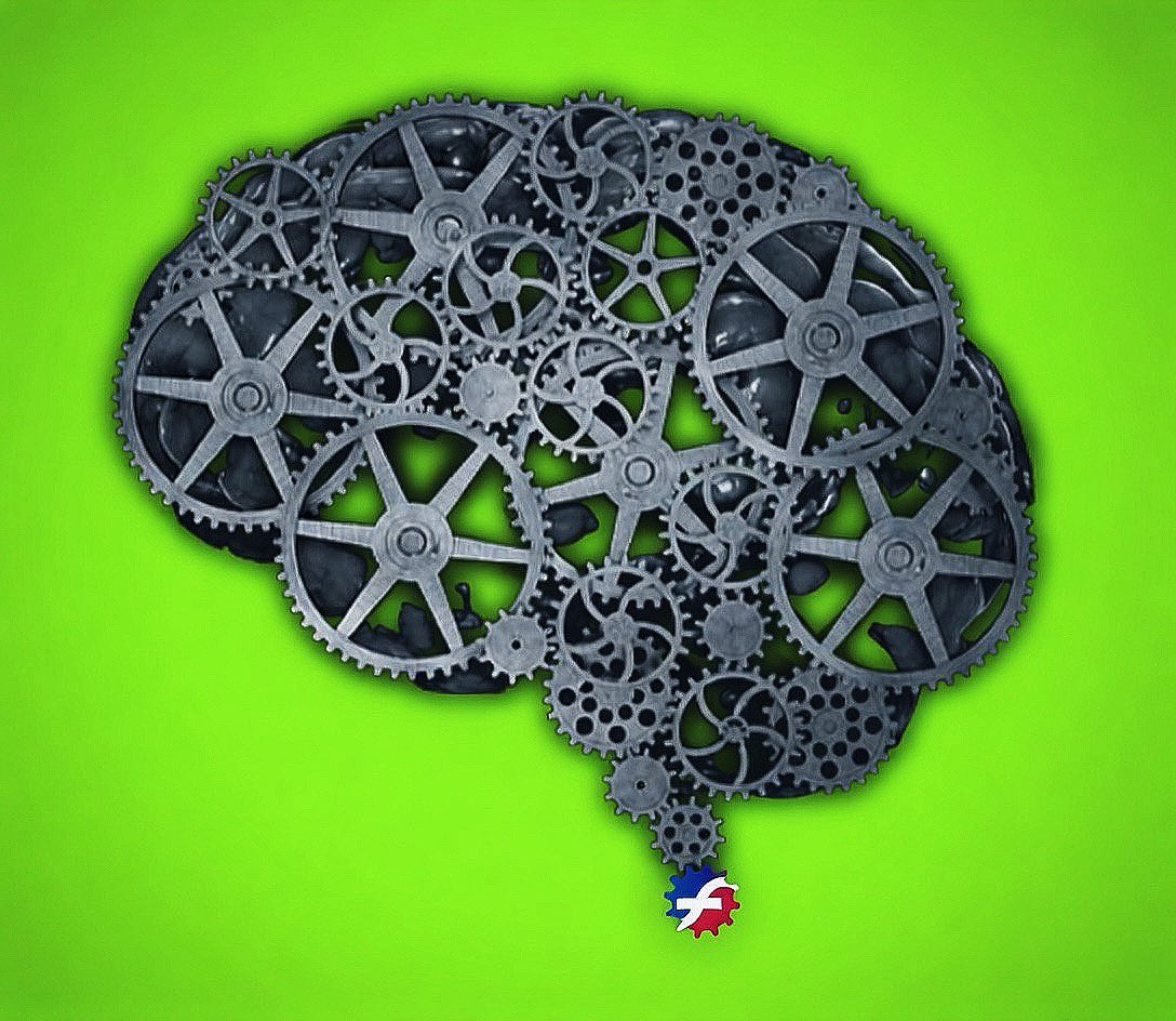 MetaFXN🟦🟥 🐸 tweet media