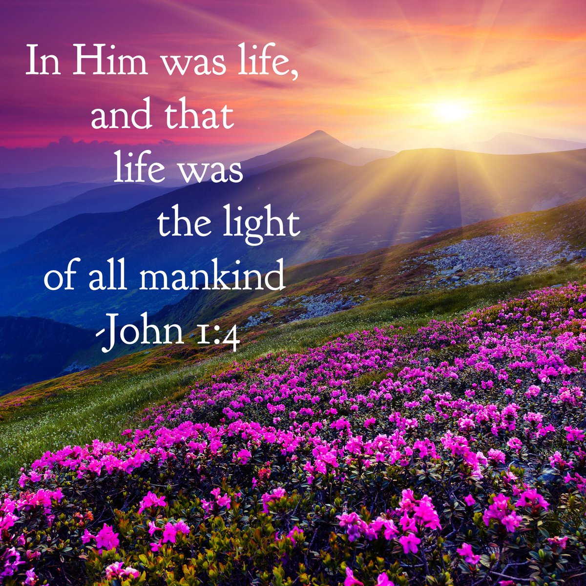 Narv ✌️❤️🙏🇺🇲 ~ God, Family & Country tweet media