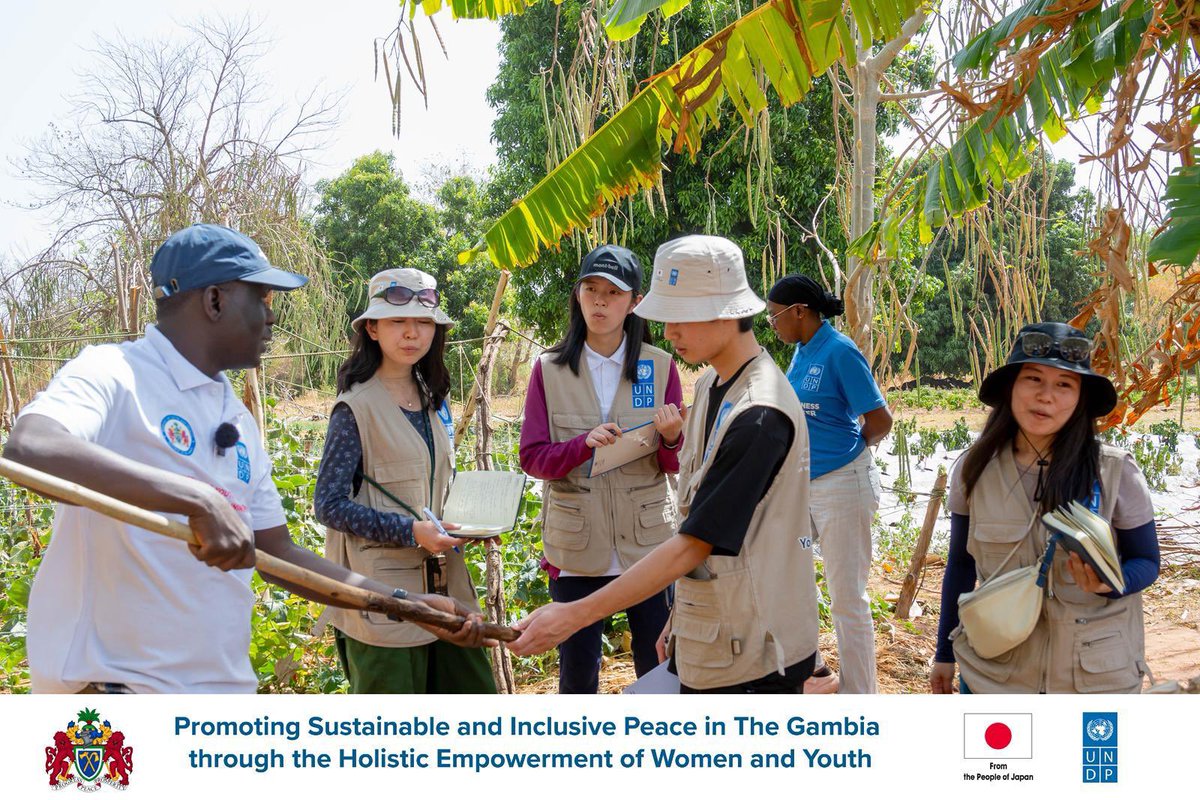 UNDP The Gambia tweet media