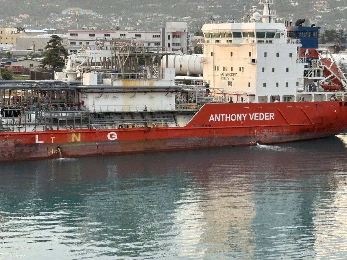 Lew Turner tweet media