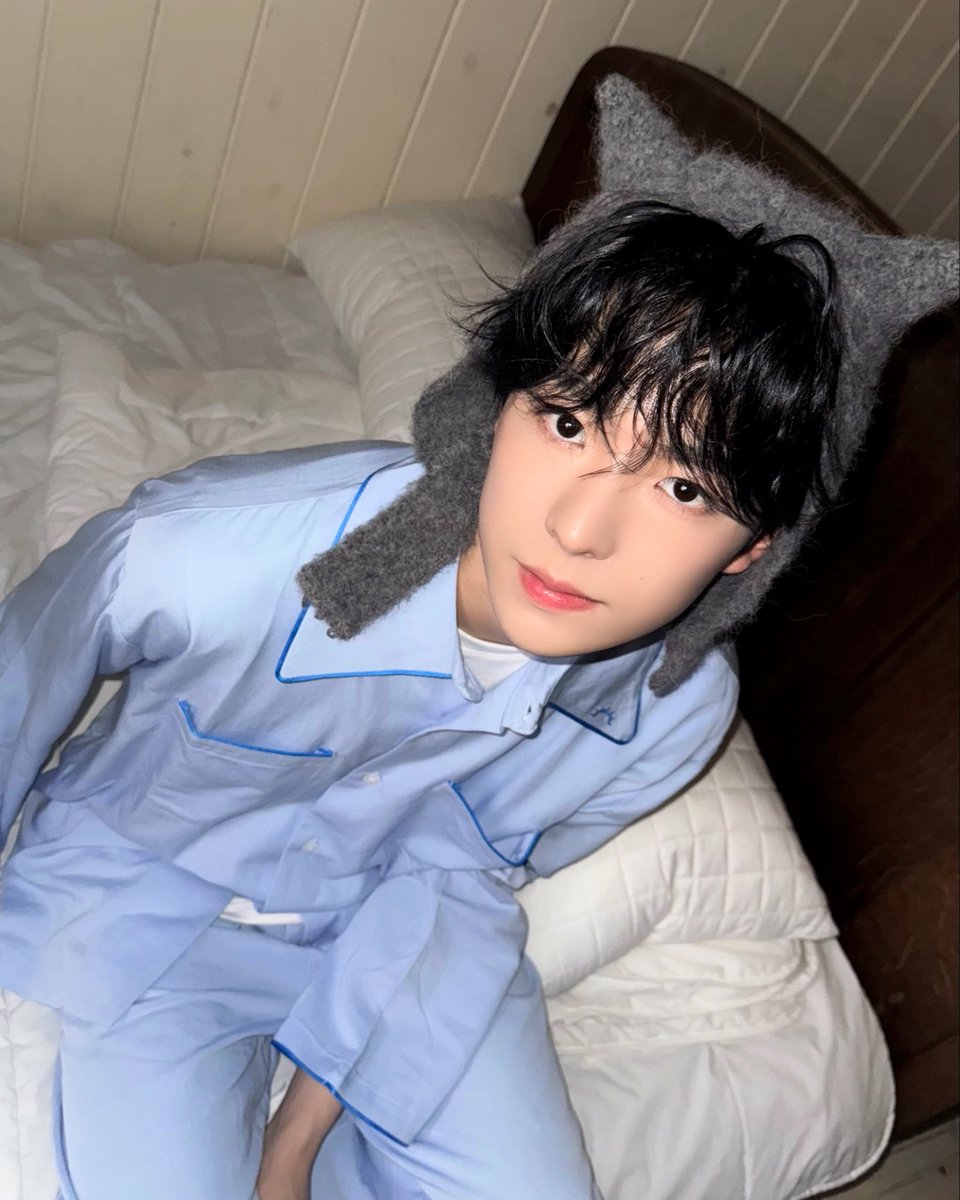 🐈‍⬛❤🐈🩵