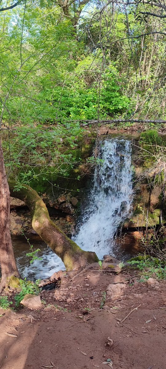 Miss Wanderlust 💫 tweet media