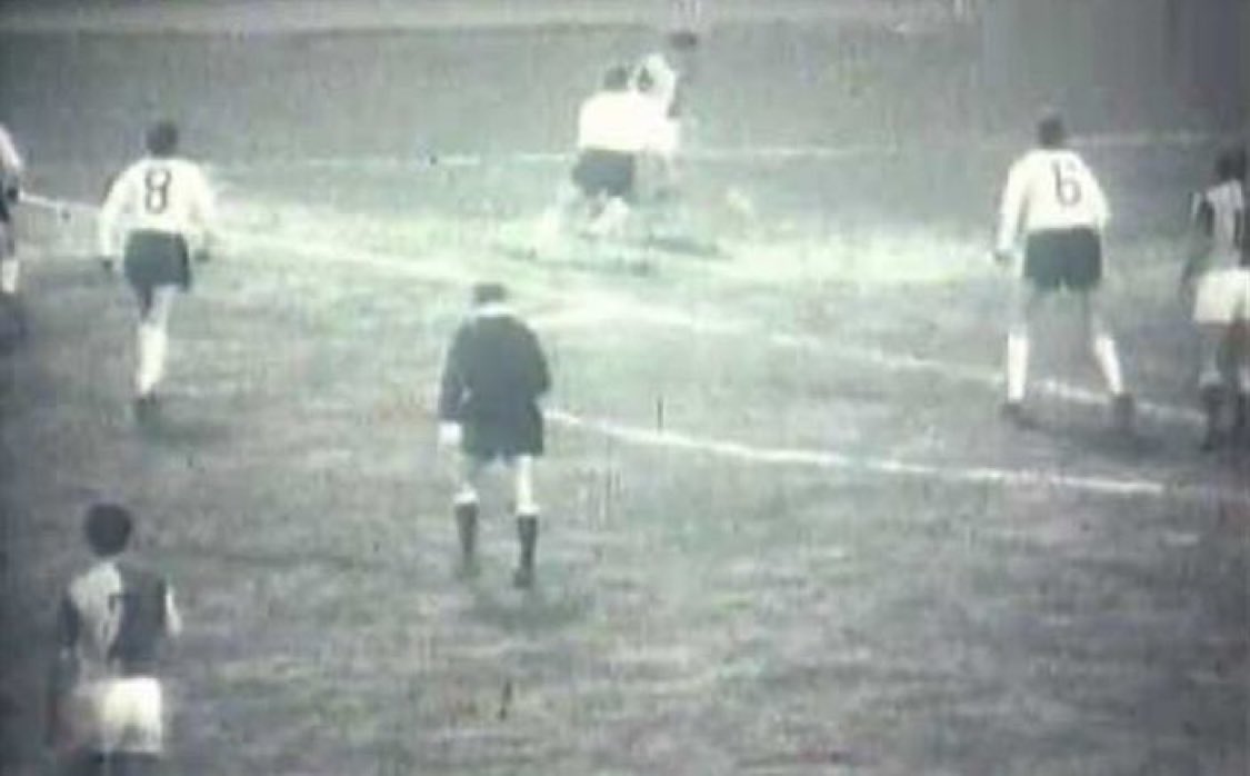 Felek Ⓛ tweet media