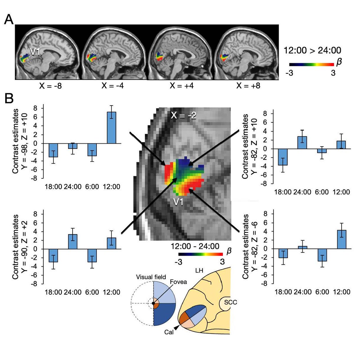 SfN Journals tweet media
