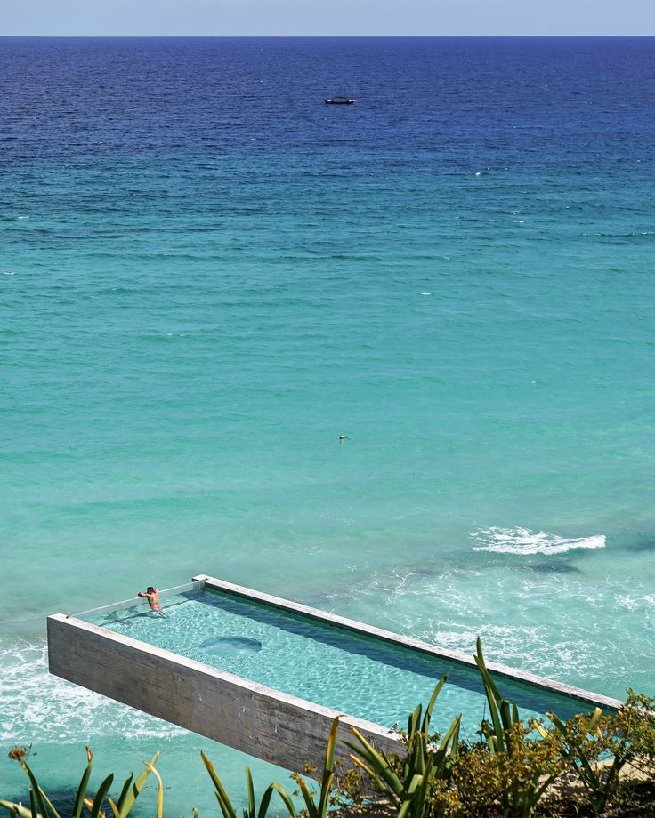 Perry Josh tweet media