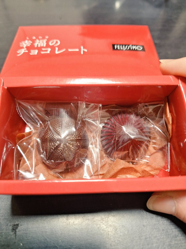 chariedrown's tweet photo. 10年ぶり?位に醤油チョコを食べた！
(我が家にある1番古いカタログ)
味噌チョコが味噌！って感じで😲
古いカタログをチラチラ見てたら、一期一会のチョコが多すぎて😢今でもあるチョコはスゴい！
#幸福のチョコレート https://t.co/DUsHy8DV5Q