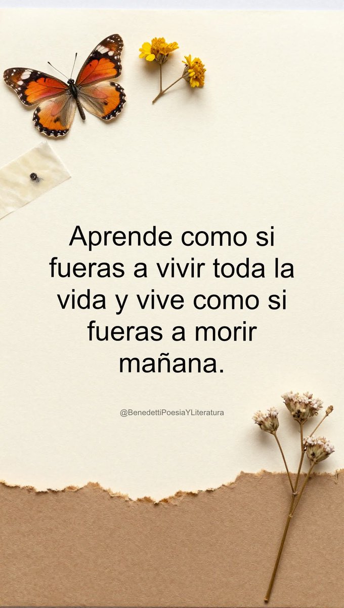 ⚔️ᴋᵃʳˡᵒˢʜᵉʀᵒᵈ👑⚔️ tweet media