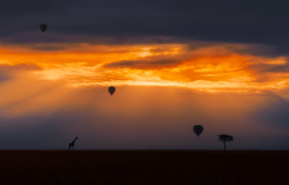 Arijit Mondal tweet media