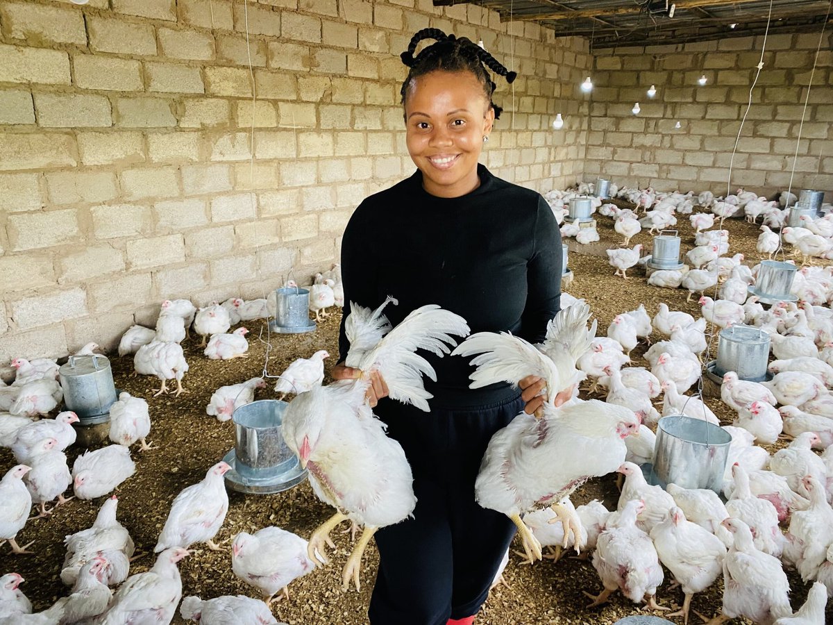 S𝖎mphon𝖎k™ tweet media