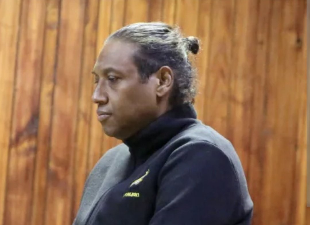 Mkhwanazi Exposes How KZN Hawks Boss and a Suspended Border Police ...