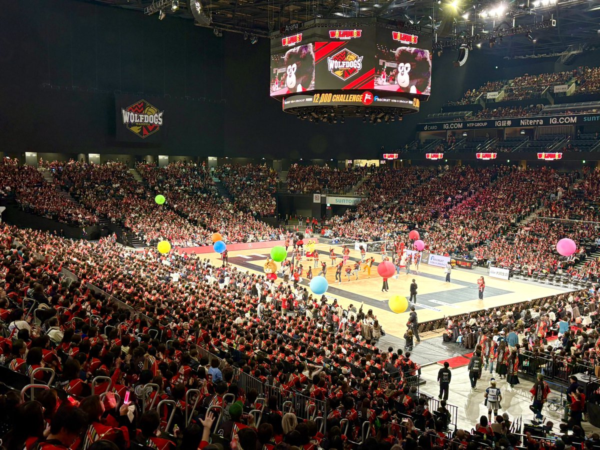 Wolfdogs_NAGOYA's tweet photo. SVリーグより発表の通り、
ウルフドッグス名古屋の2026-27シーズンSVライセンスの交付が決定しましたことをお知らせいたします。
🔸詳細はこちら
https://t.co/oh1fULc6Je
#ウルフドッグス名古屋
#WOLFDOGS https://t.co/lCNZSgT9OR