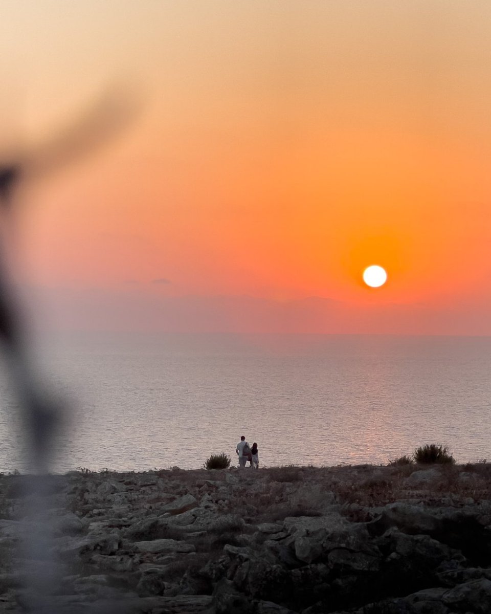 visitformentera's tweet photo. Primavera en Formentera: calma, naturaleza y Mediterráneo. ¿Has venido en esta época?
__
Primavera a Formentera: calma, natura i Mediterrani. Hi has vingut en aquesta època?
__
Spring in Formentera: calm, nature and Mediterranean vibes. Have you visited this season? https://t.co/SWAQPbx0Fn
