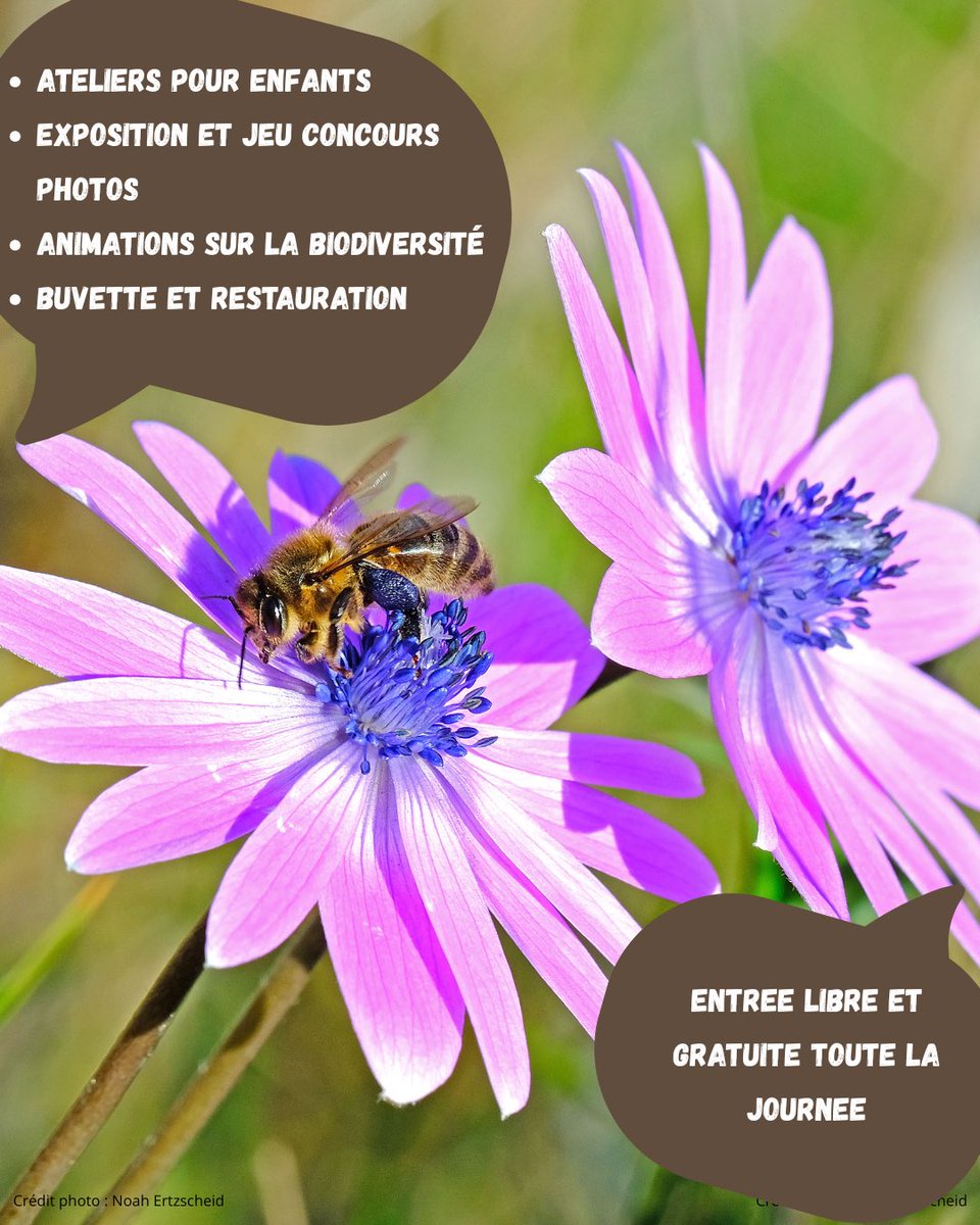 GSFConcaDOru's tweet photo. La 2e édition de la Fête du Grand Site se précise… 

Découvrez les premières infos ! 👀 https://t.co/0yEfTlJIIp