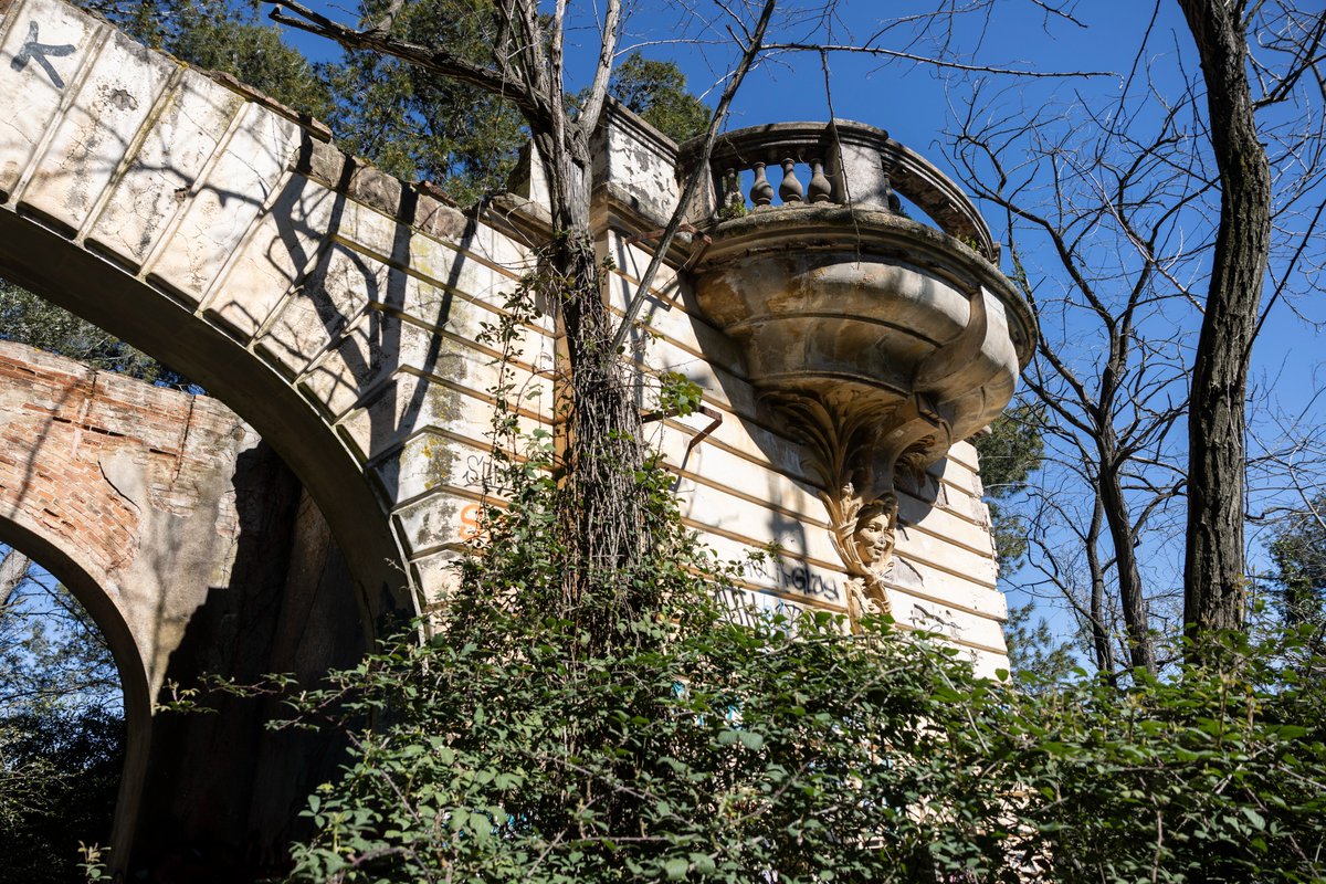 EL PAÍS tweet media