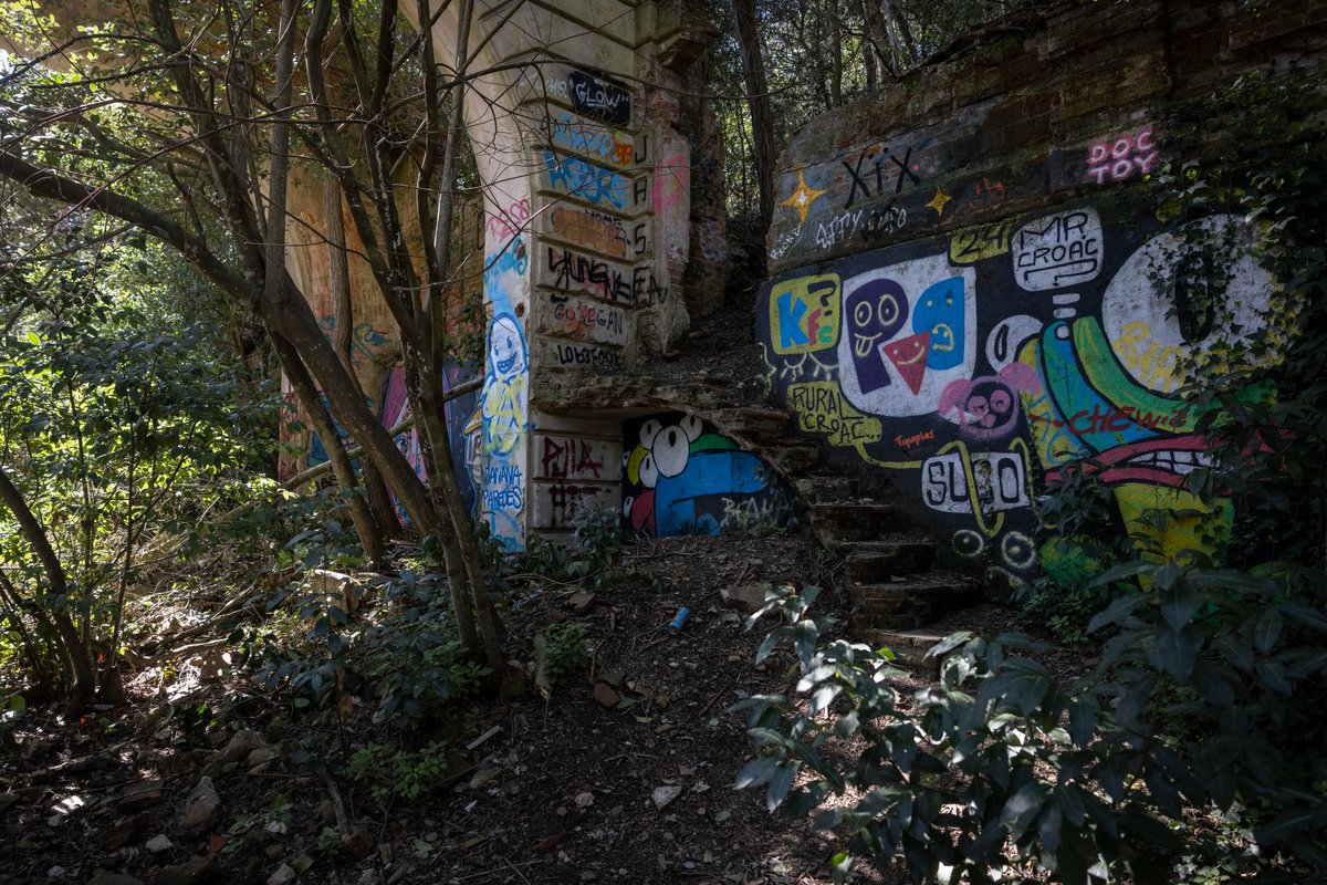 EL PAÍS tweet media