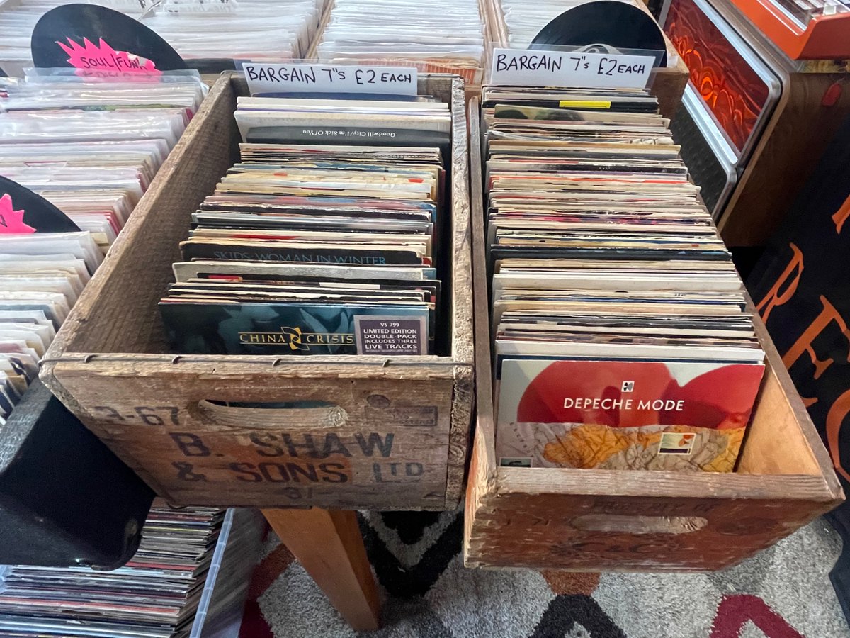 noiseannoys78 tweet media