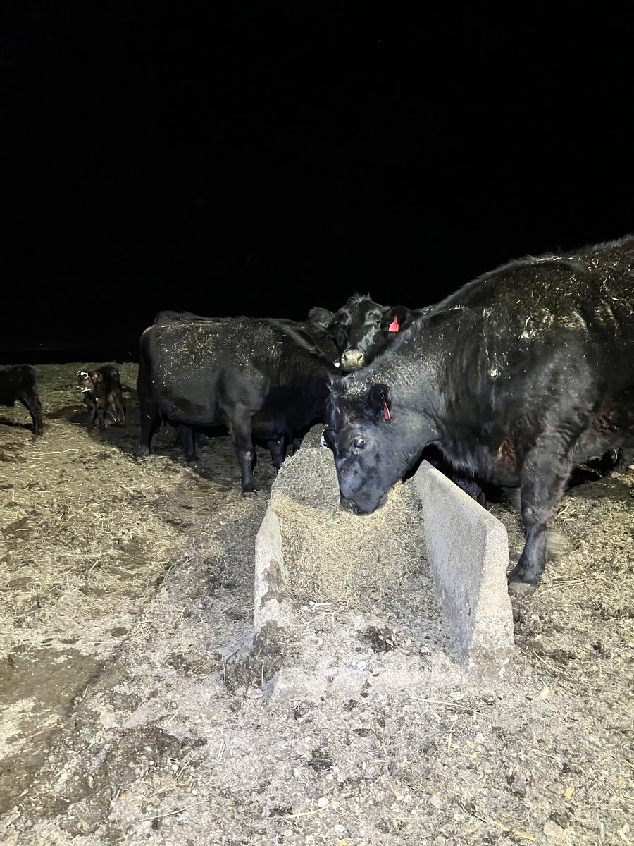 Chad Engle. tweet media