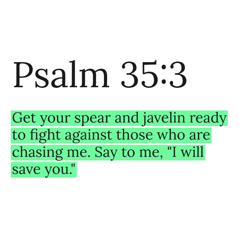 Holy Bible tweet media