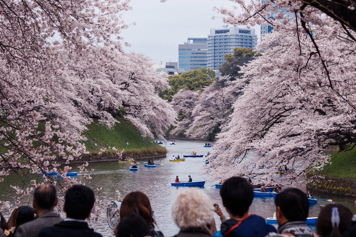 Tokyo Scapes📷 tweet media