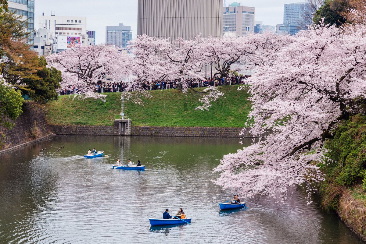 Tokyo Scapes📷 tweet media