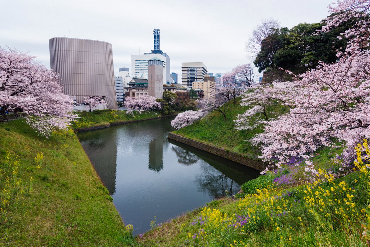 Tokyo Scapes📷 tweet media