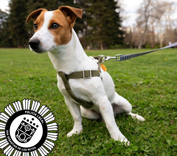 Policía Local de San Sebastián de los Reyes tweet media