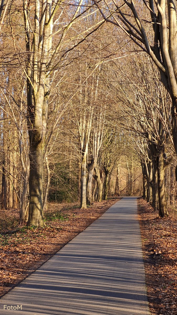 Margreeth0_0's tweet image. Ik scande de barcode op het fietspad: onbetaalbaar ☀️ I scanned the barcode and the result was: unaffordable ☀️ #sunshine #happydays #naturephotograpy #enjoylife (foto even aanklikken/photo may need a click)
