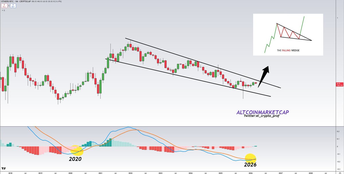 𝕄𝕠𝕦𝕤𝕥𝕒𝕔ⓗ𝕖 🧲 tweet media