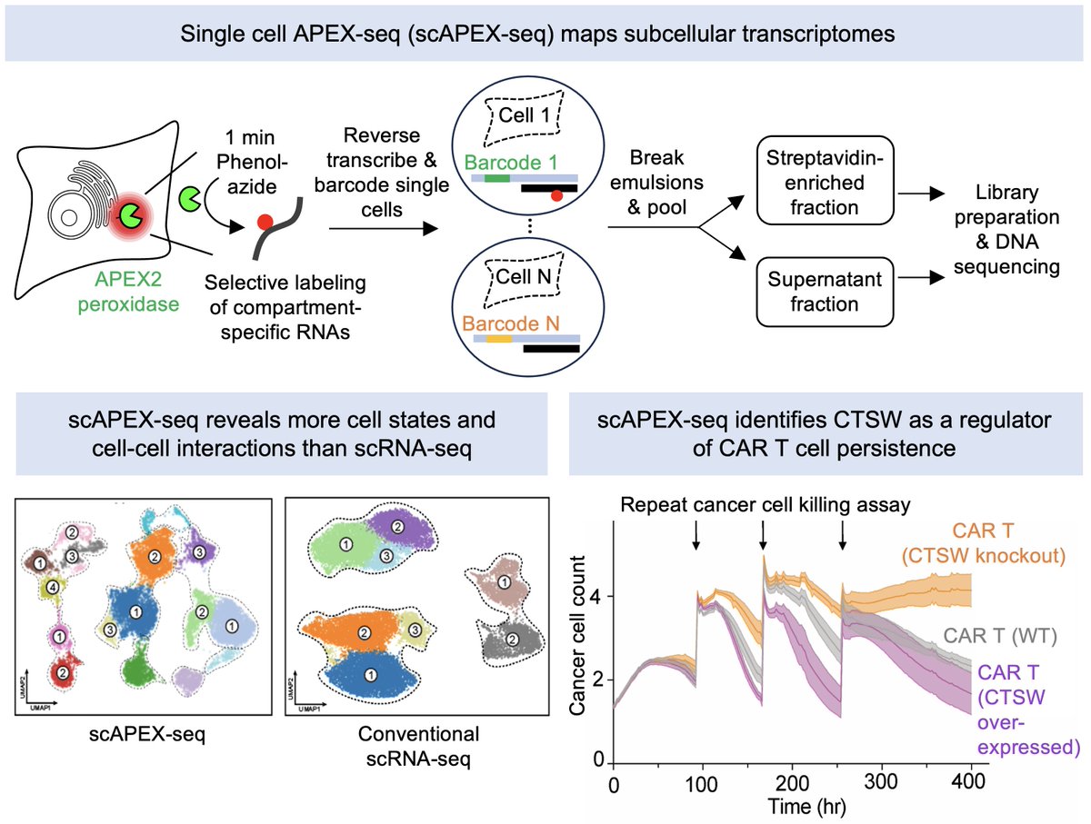 Alice Ting tweet media