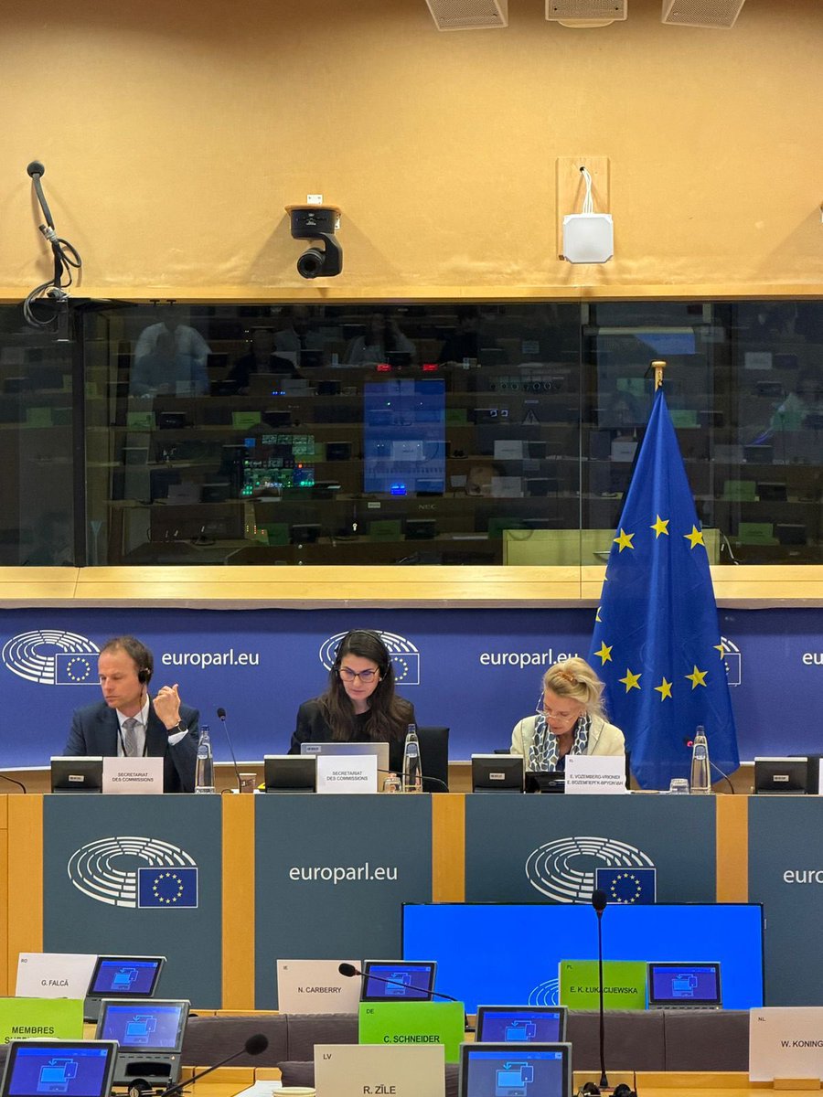 Eliza Vozemberg MEP tweet media