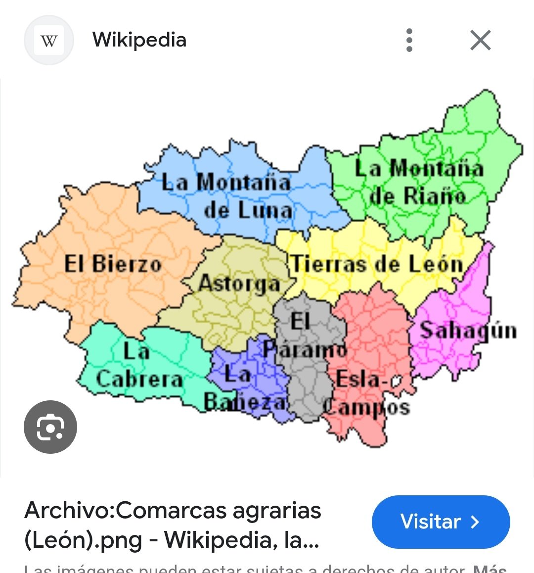 Alberto Zamorano 🦁 tweet media