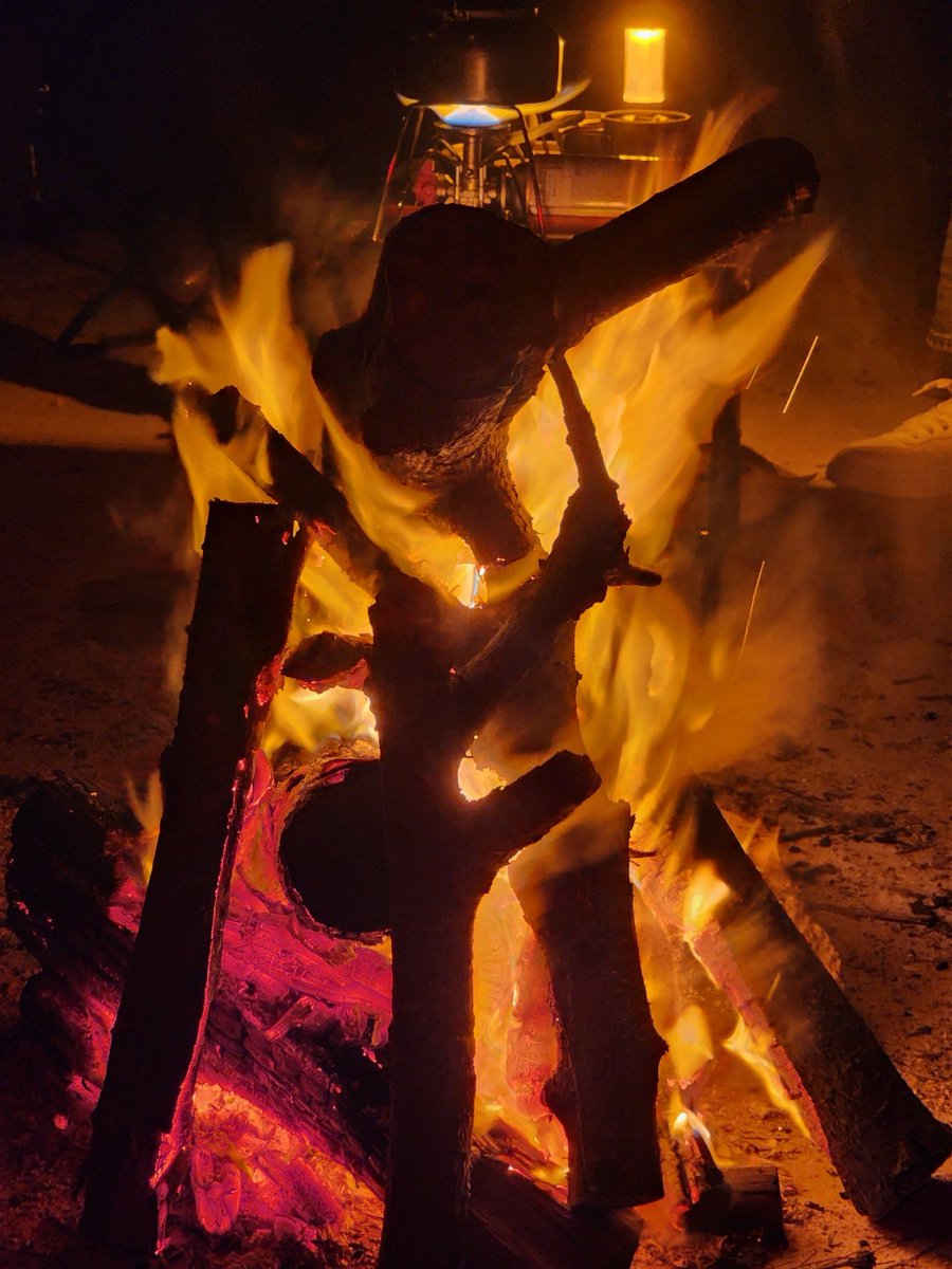 penelope brooks tweet media