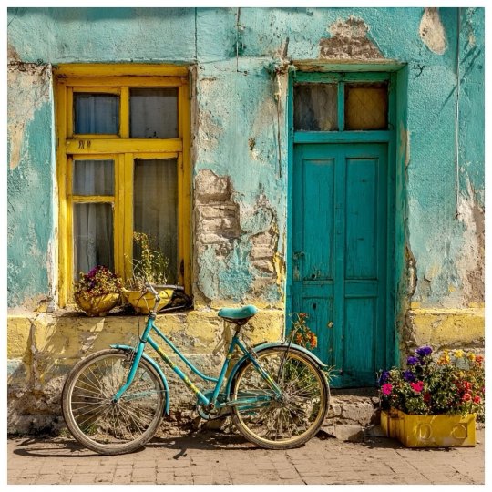 Francisco Ribeiro tweet media