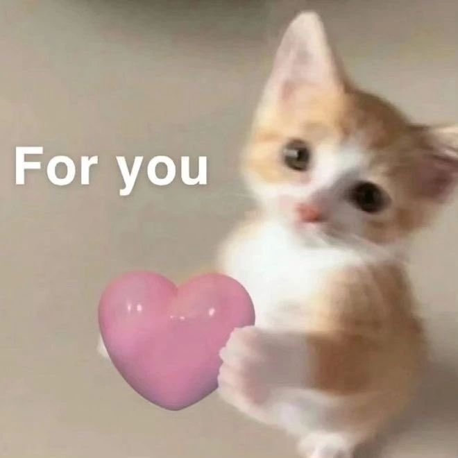 nyx ⋆˙⟡ tweet media