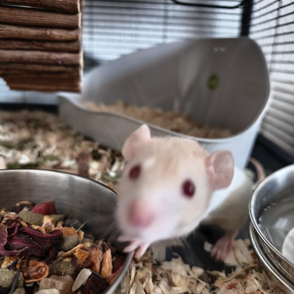 • wika • bleeeeh:P^____^ tweet media