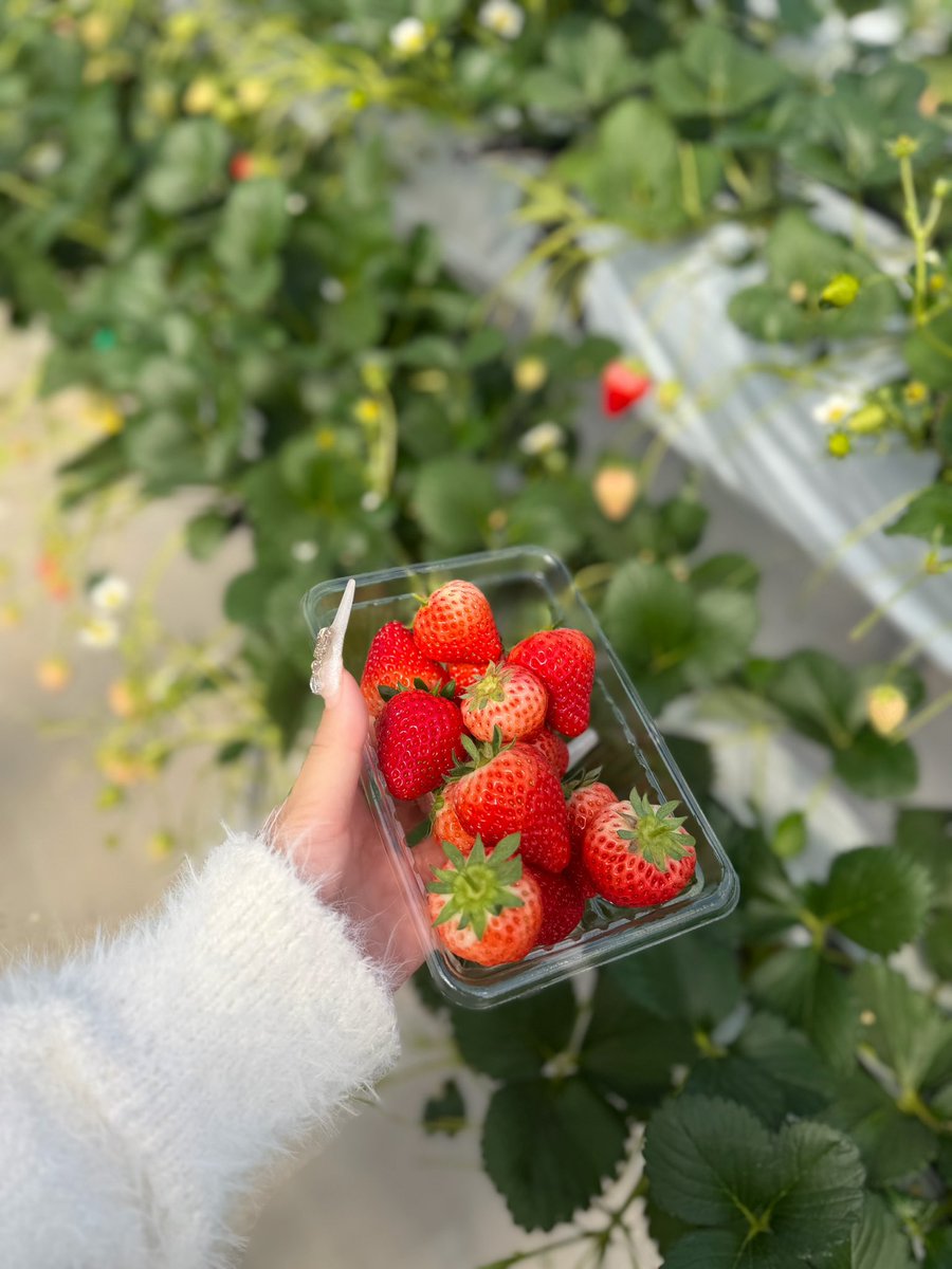 は‎🐩 tweet media