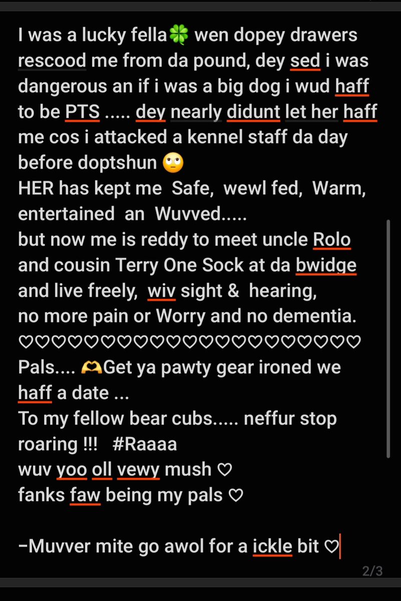 Bo-Boes the mini Bear Cub 🌈🐾💛💖🧡🥀💙 tweet media