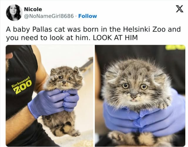 Papa Woof und Krampus und Bleaken tweet media